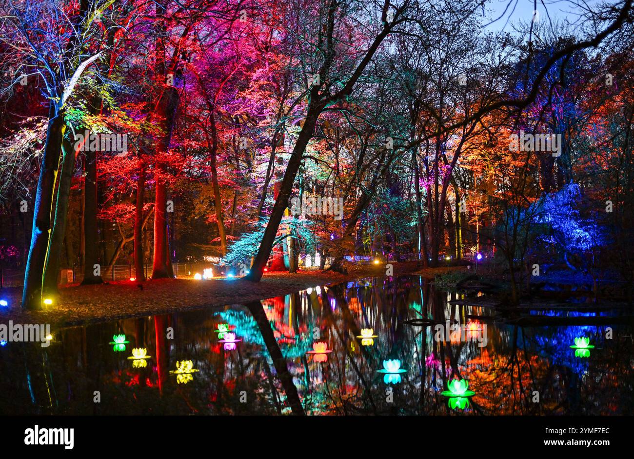 Berlin, Allemagne. 21 novembre 2024. Le parc du Tierpark Berlin sera illuminé en couleurs pour l'événement « Noël au Tierpark ». Les illuminations peuvent être vues du 22 novembre 2024 au 12 janvier 2025 le long d'un parcours circulaire de deux kilomètres à travers le terrain. Crédit : Jens Kalaene/dpa/Alamy Live News Banque D'Images