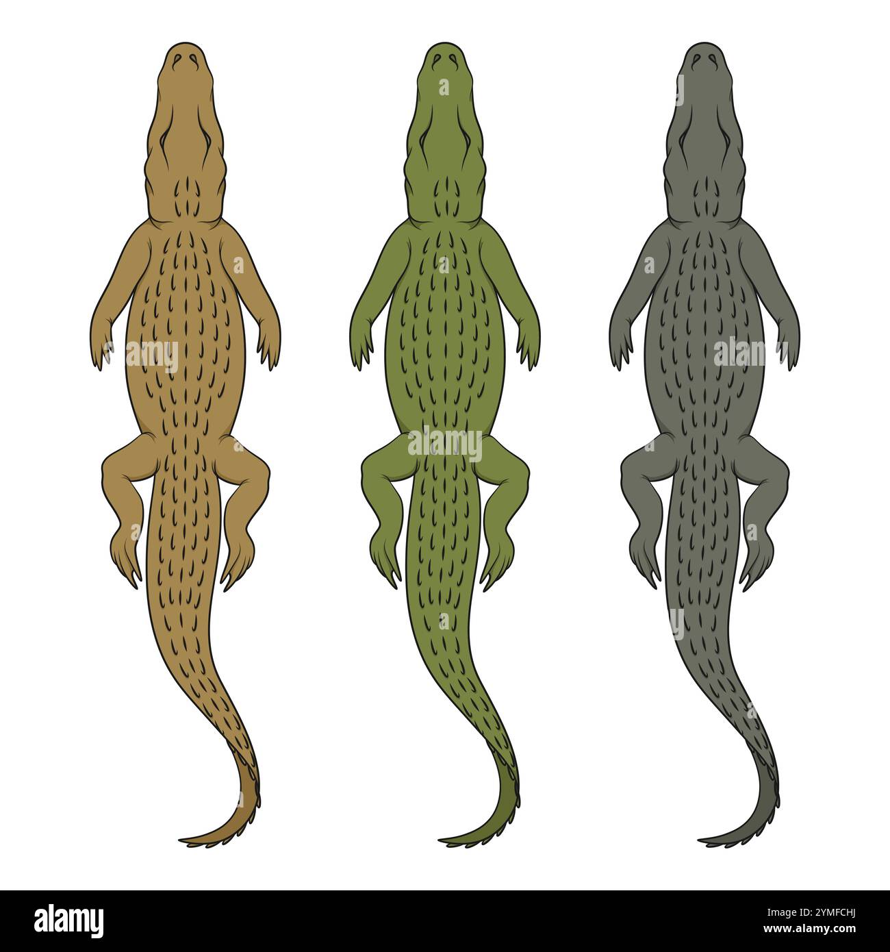 Ensemble d'illustrations en couleur avec crocodile de natation. Objets vectoriels isolés sur fond blanc. Illustration de Vecteur