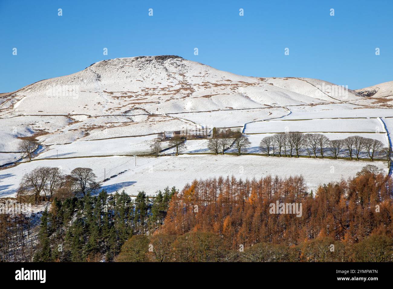 Paysage enneigé de Shutlingsloe Hill après une tempête de neige hivernale, vu de Wildboarclough dans le Cheshire English Peak District Banque D'Images