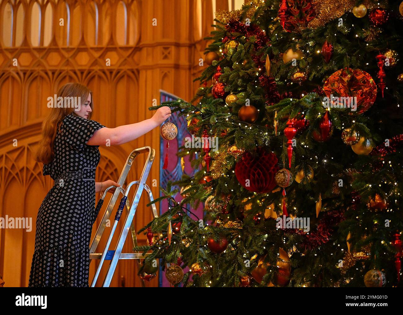 Château de Windsor, Royaume-Uni 21 novembre 2024. De magnifiques expositions de Noël accueillent les visiteurs des appartements officiels du château de Windsor. Le point culminant de l'exposition de cette année sont le sapin Nordmann de 20 pieds dans le St George's Hall et un sapin de Noël magnifiquement décoré dans le salon Crimson Drawing Room Banque D'Images