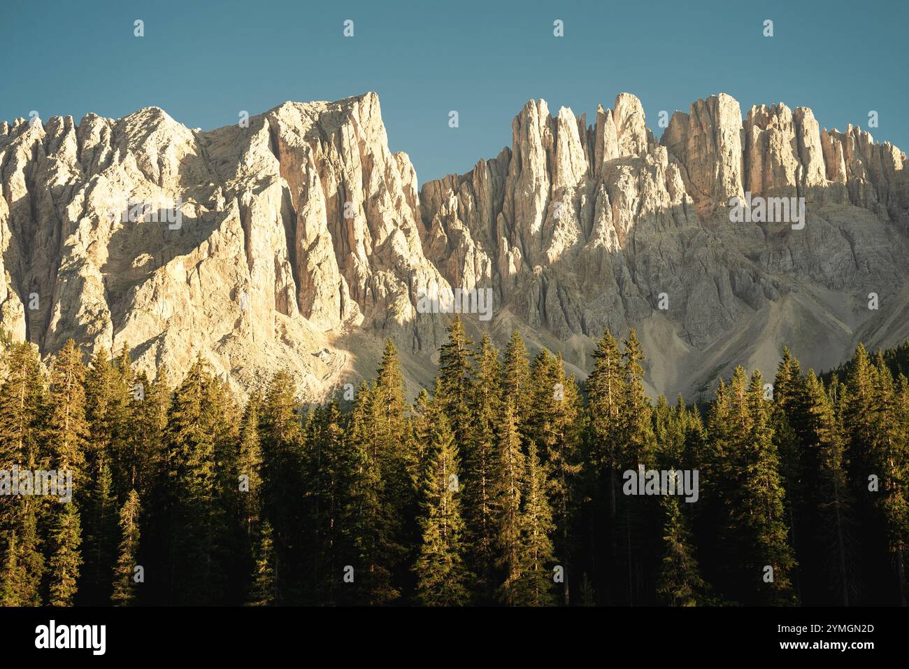 Une belle montagne entièrement recouverte de neige fraîche et blanche, avec de grands arbres situés au premier plan de la scène Banque D'Images