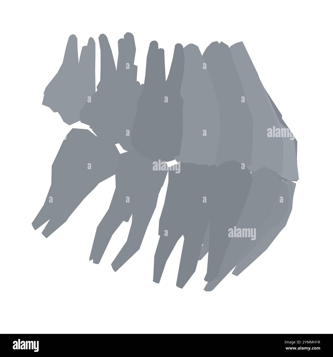 Types de silhouette dentaire. Diverses dents humaines avec racines, molaires, prémolaires, canines. Illustration vectorielle. Vue latérale Illustration de Vecteur