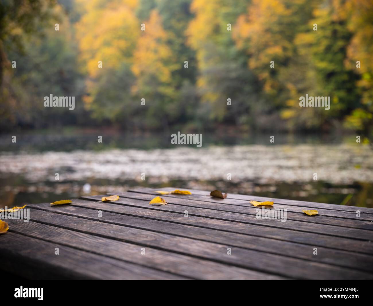 Vieille table en bois vide avec fond de forêt floue en automne. Arrière-plan pour la photographie de produit Banque D'Images