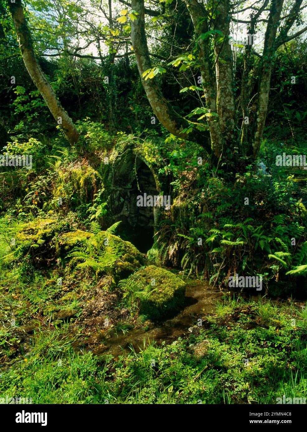 View SW of St Gundred's Well, a Holy Well NW of Roche Station, Cornwall, Angleterre, Royaume-Uni : un puits de guérison et de divination en usage dans le C19e ; encore visité Banque D'Images