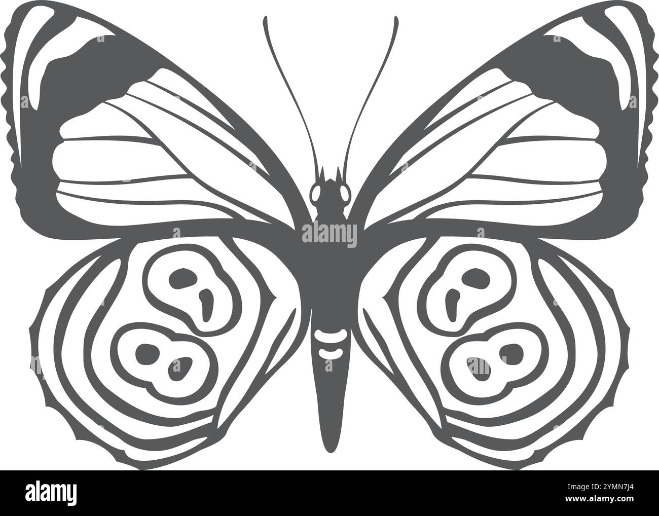 Silhouette de papillon ornée. Dessin de ligne noire à motif isolé sur fond blanc Illustration de Vecteur
