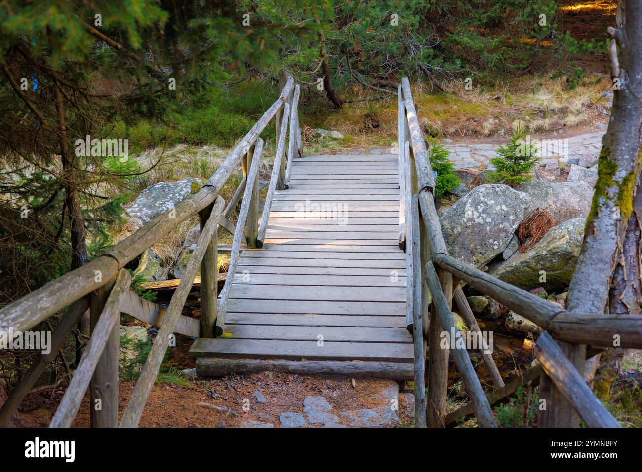 Un pont en bois avec des balustrades au-dessus d'un ruisseau dans la forêt. Le chemin est pavé de pierre. Banque D'Images