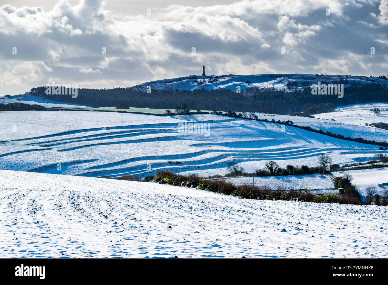 Winterbourne Abbas, Dorset, Royaume-Uni. 22 novembre 2024. Météo britannique. Vue sur les champs enneigés de la route romaine à Winterbourne Abbas jusqu'au monument Hardy par un matin froid et ensoleillé. Le monument a été construit à la mémoire du vice-amiral Sir Thomas Masterman Hardy qui était capitaine du drapeau à bord du HMS Victory lors de la bataille de Trafalgar. Crédit photo : Graham Hunt/Alamy Live News Banque D'Images