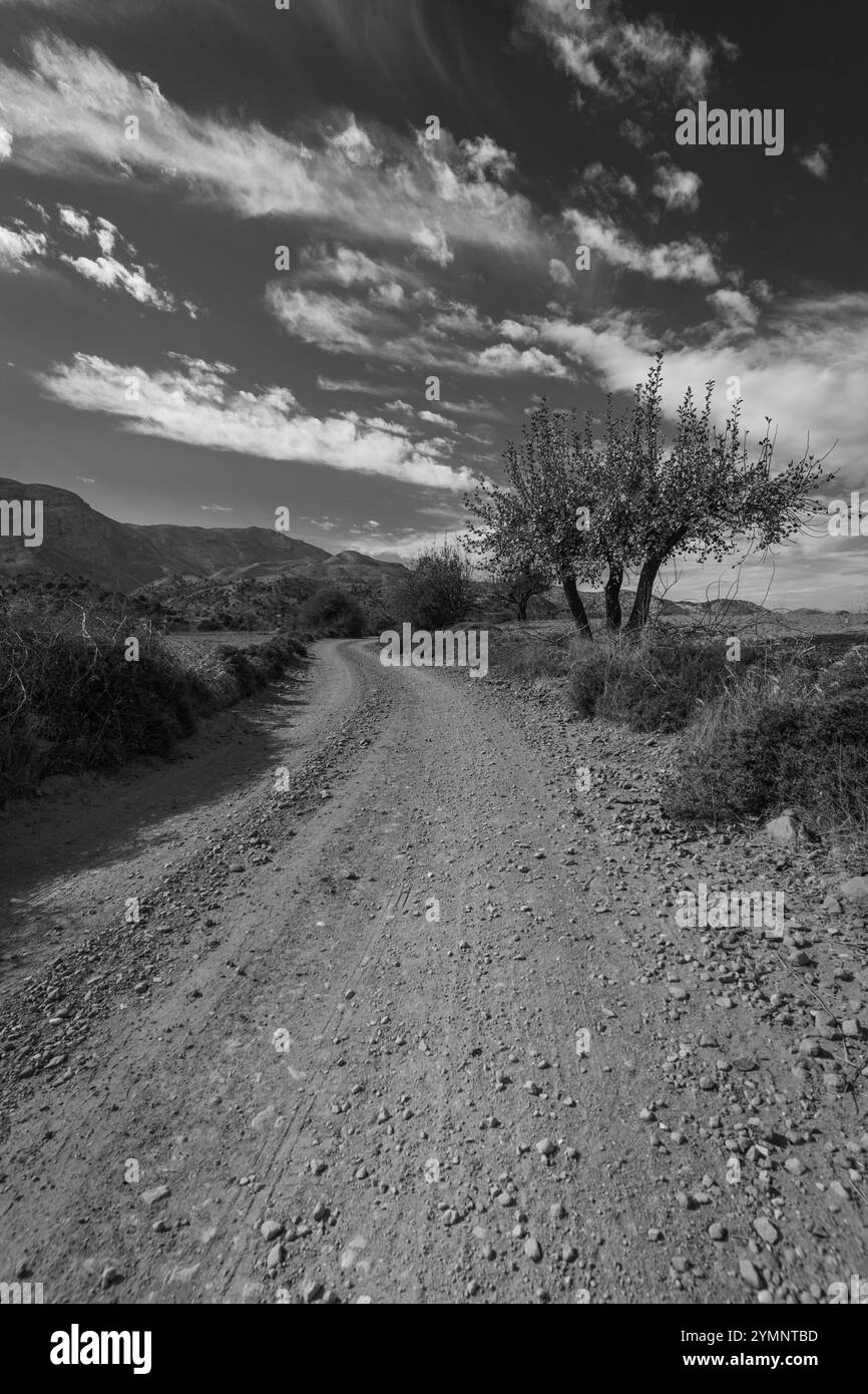 sentier rural dans les montagnes de crète Banque D'Images