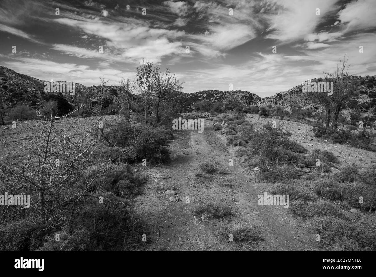 sentier rural dans les montagnes de crète Banque D'Images