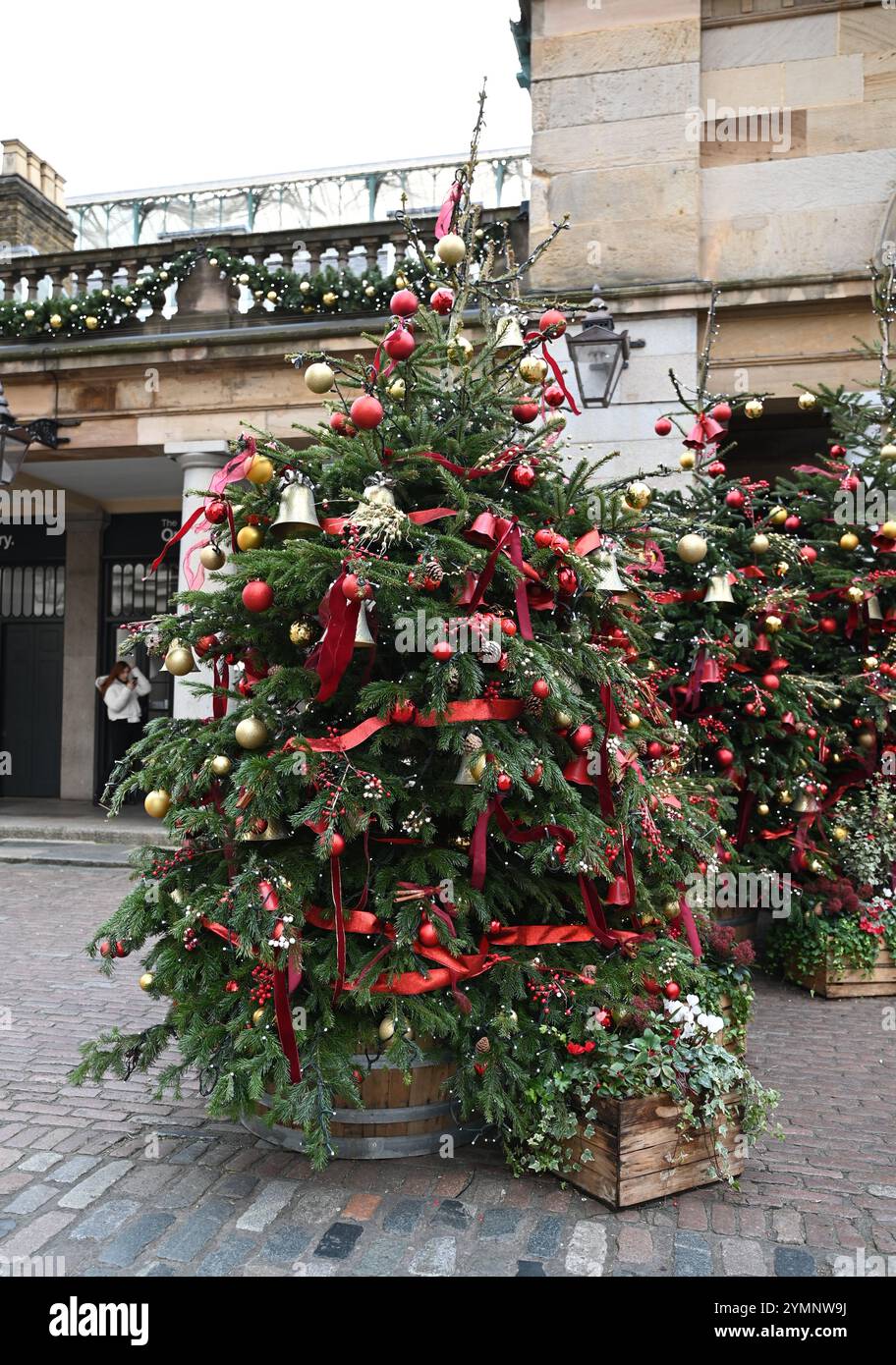 Arbres de Noël et décorations de saison créent une ambiance et une saison festive dans le jardin de Covent. Le sapin de Noël géant de 55 pieds est orné de 30 000 lumières LED ... Banque D'Images