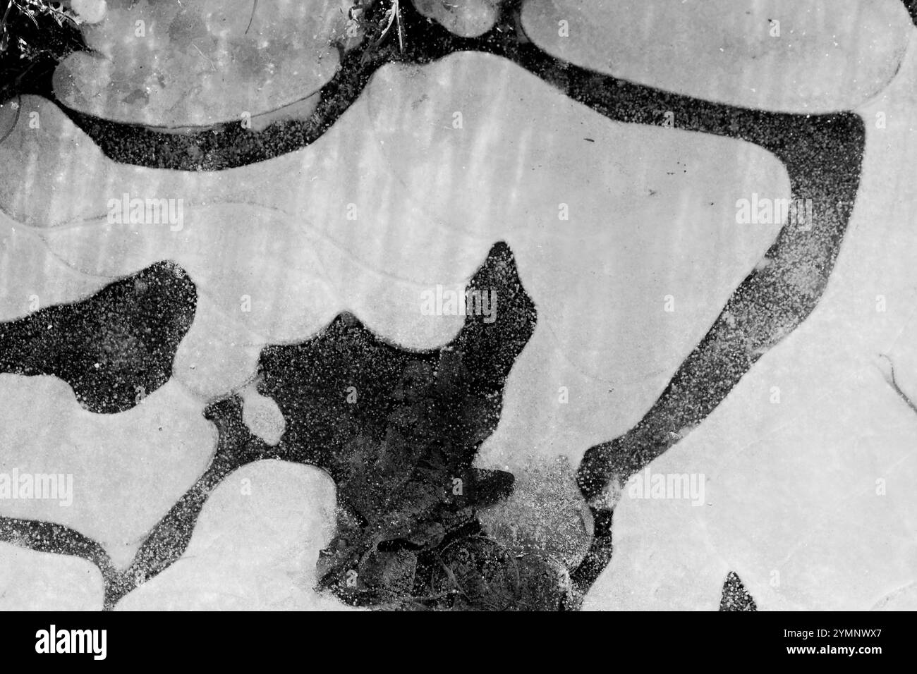 Paysage allemand gelé avec de superbes sculptures de glace et des structures artistiques Banque D'Images