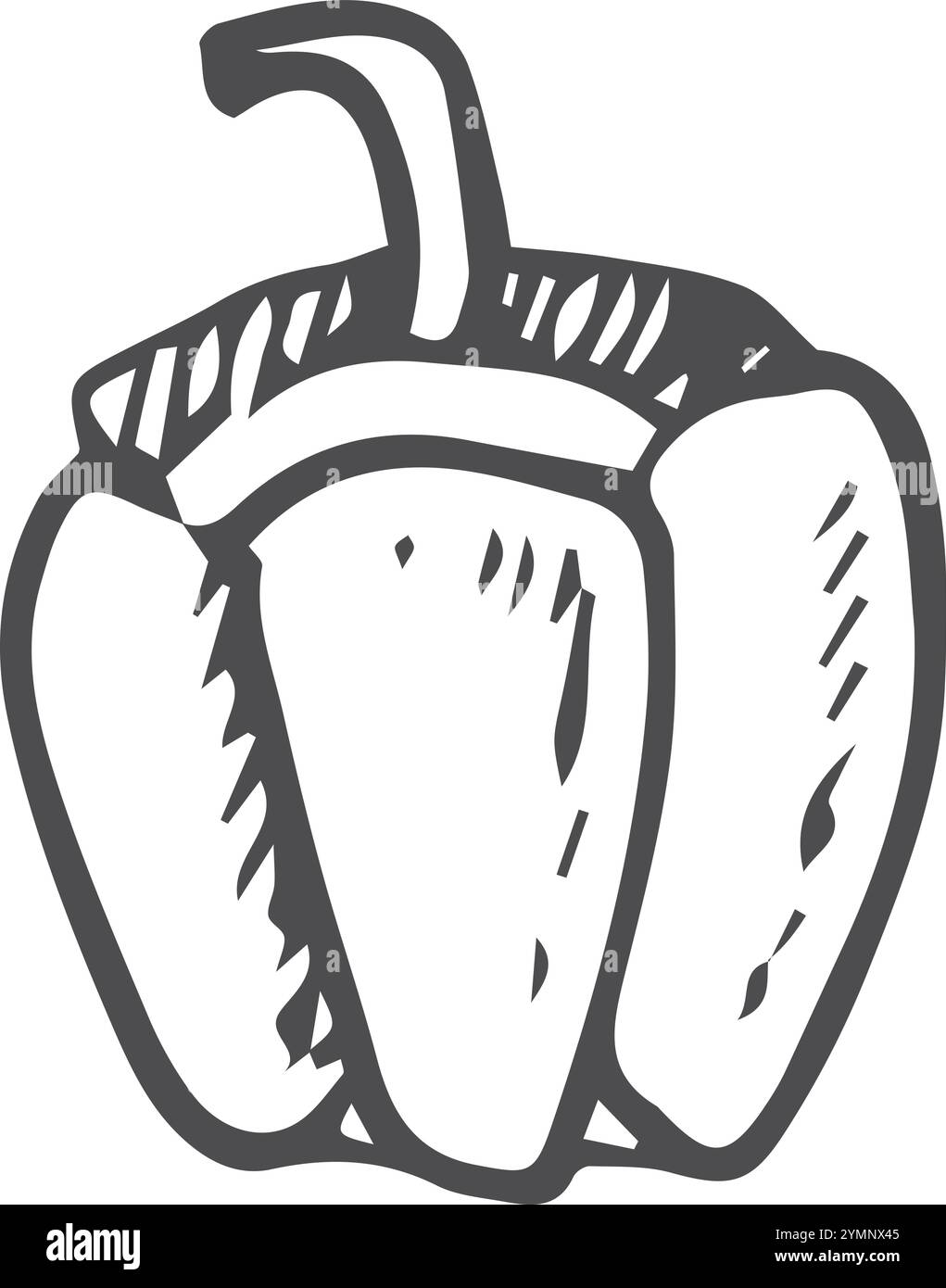 Poivron doodle. Légumes frais. Ingrédient de cuisson Illustration de Vecteur