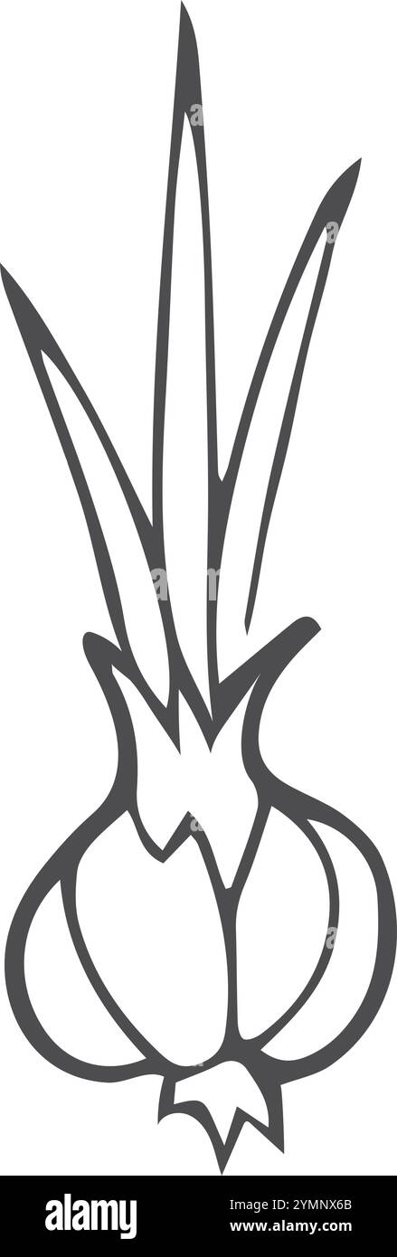 Oignon doodle. Icône légume printanière. Ingrédient de cuisson Illustration de Vecteur