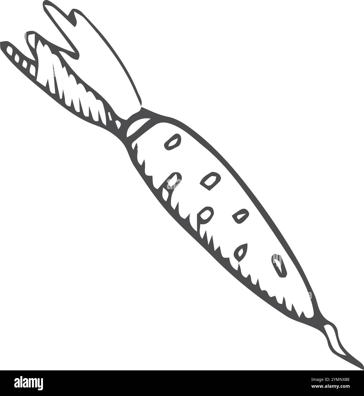 Icône carotte. Dessin de ligne de légumes racines naturels Illustration de Vecteur