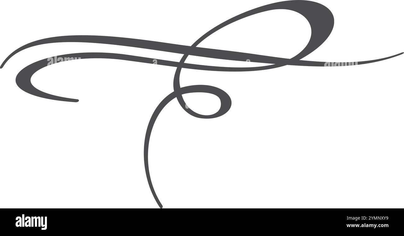 Trait d'encre décoratif. Brosse calligraphique élément élégant Illustration de Vecteur