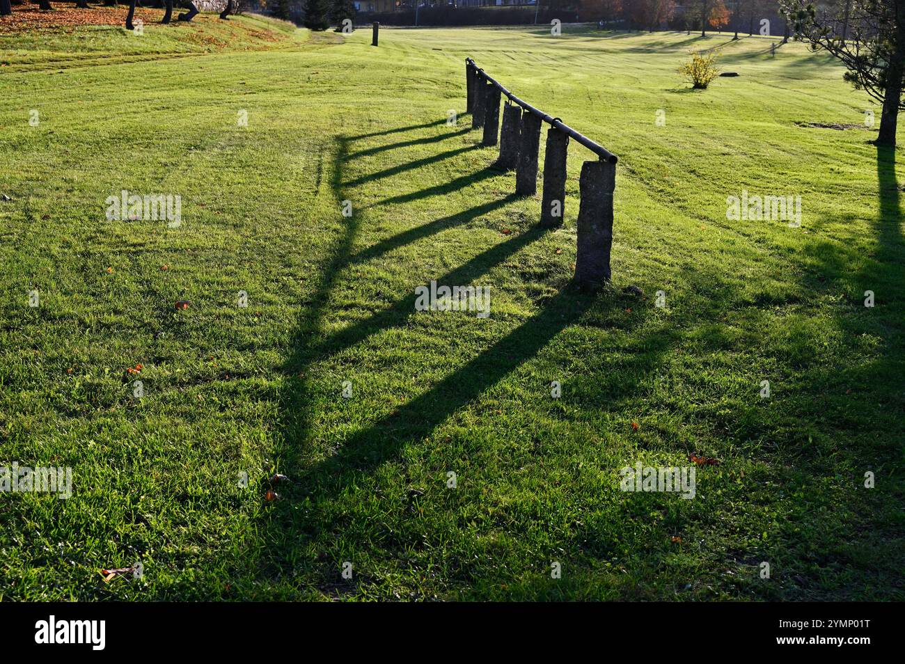 Poteau d'attelage - perche sur des poteaux pour attacher des chevaux dans un champ herbeux en lumière douce du soleil, avec une rangée de poteaux en bois ou en pierre avec un rail horizontal dessus Banque D'Images