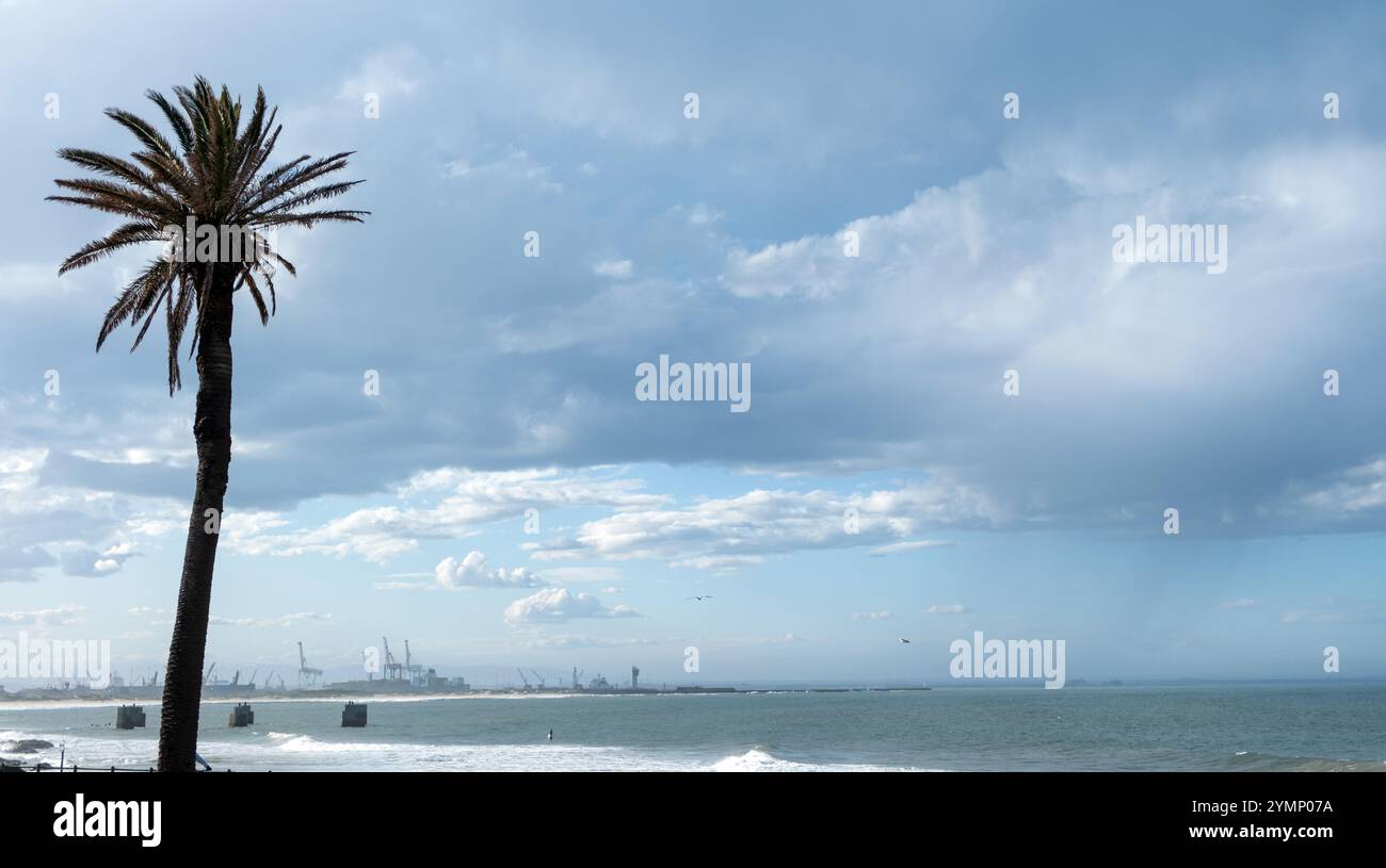 Palmier sur la côte, grues portuaires Port Elizabeth Afrique du Sud, vagues de l'océan Indien et fond de ciel bleu nuageux. Banque D'Images