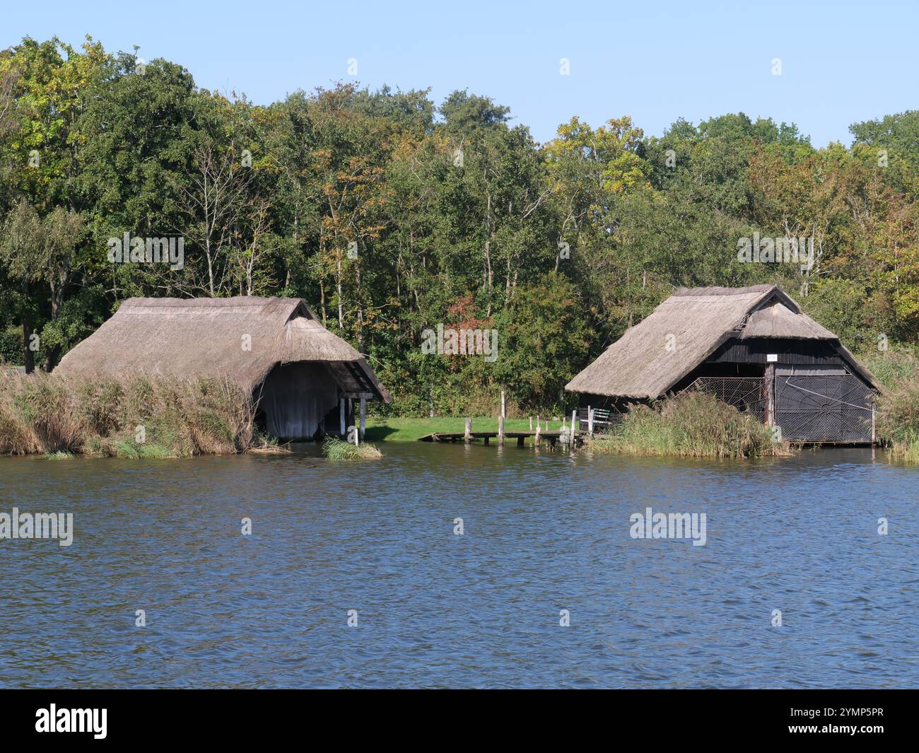 Chalets de chaume sur le bord du Prerower Strom sur le Darß Banque D'Images