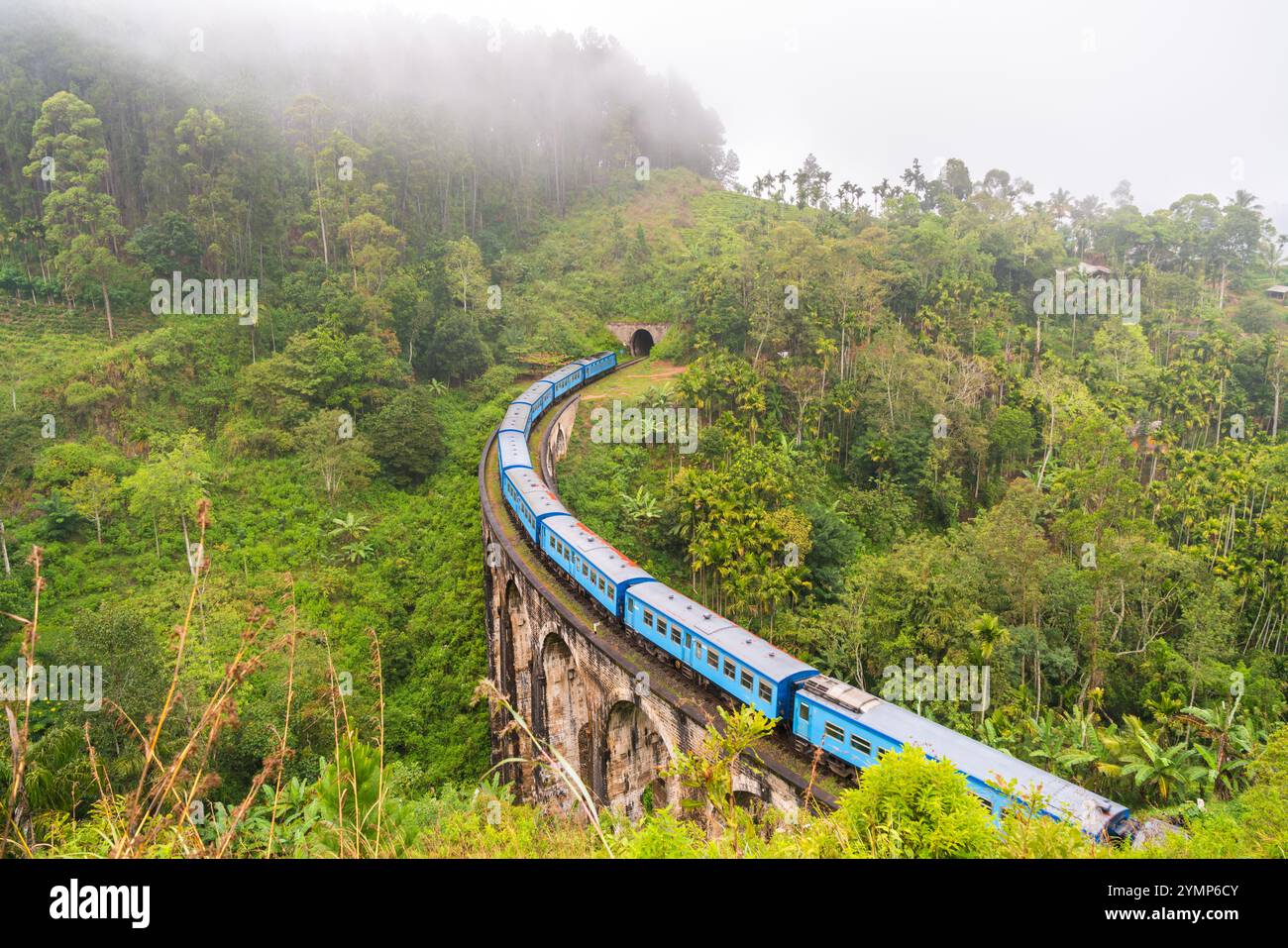 Le passage à niveau Train Demodera neuf Arches pont près de Ella dans les Hauts Plateaux du Sud, Sri Lanka Banque D'Images