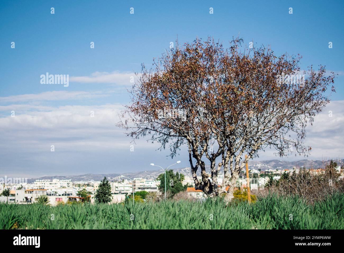 Une vue de la colline à la ville d'Ayia Napa, Chypre Banque D'Images