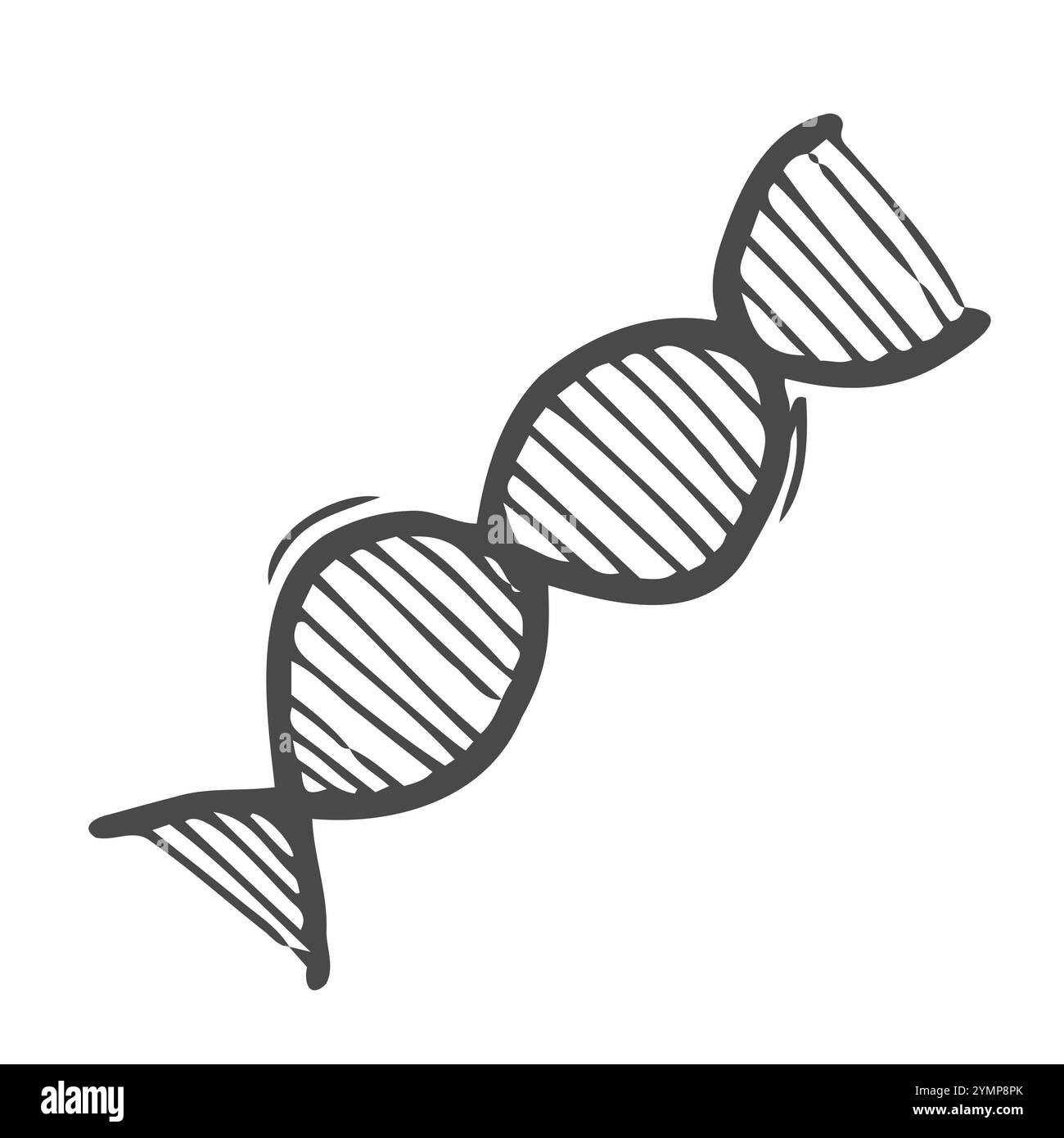 Illustration de double hélice d'ADN génétique de style Doodle en format vectoriel adapté pour le Web, l'impression ou la publicité Illustration de Vecteur
