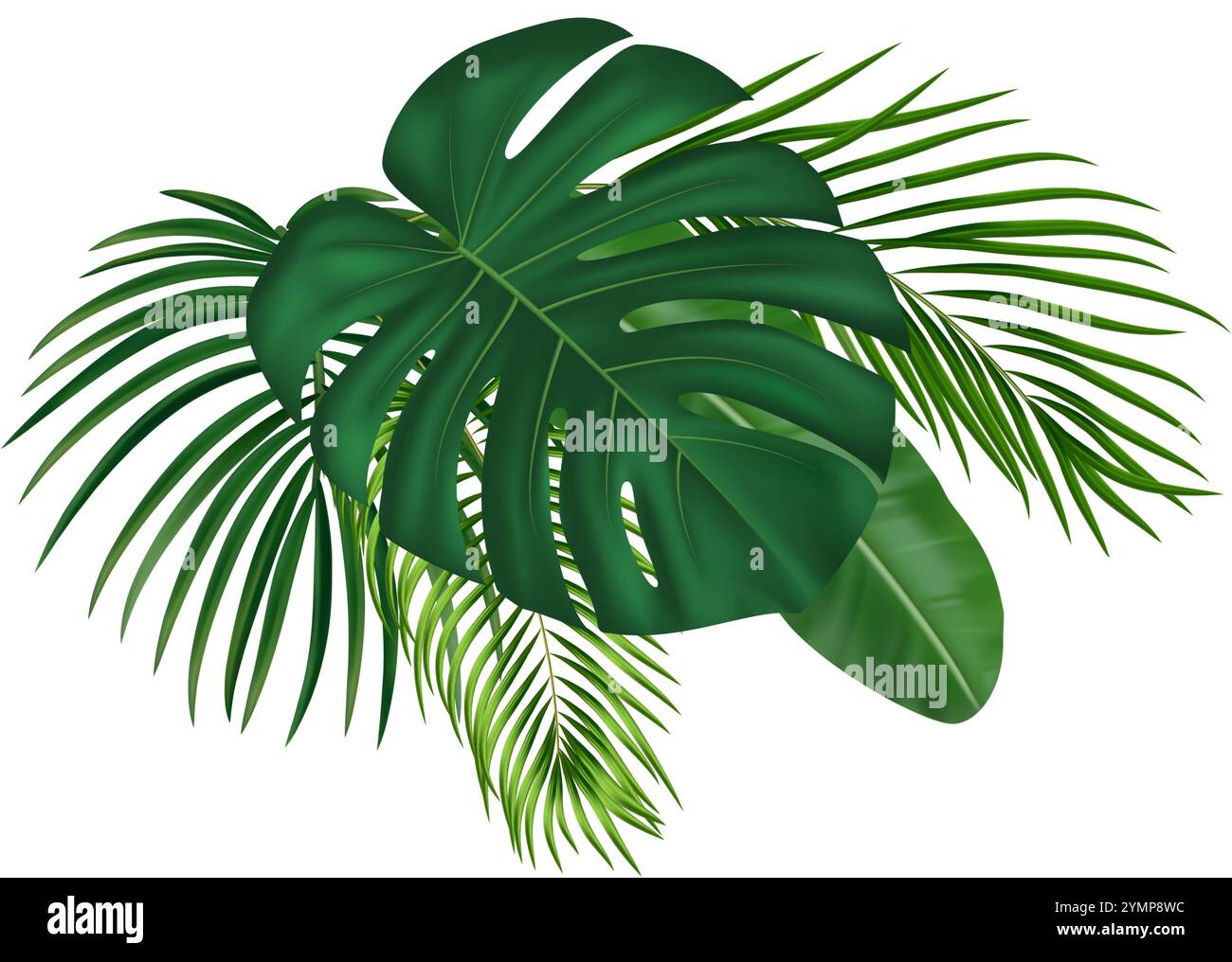 Composition tropicale de feuilles de palmier vert réaliste. Pour la conception tropicale d'été avec diverses feuilles vertes. Illustration vectorielle Illustration de Vecteur