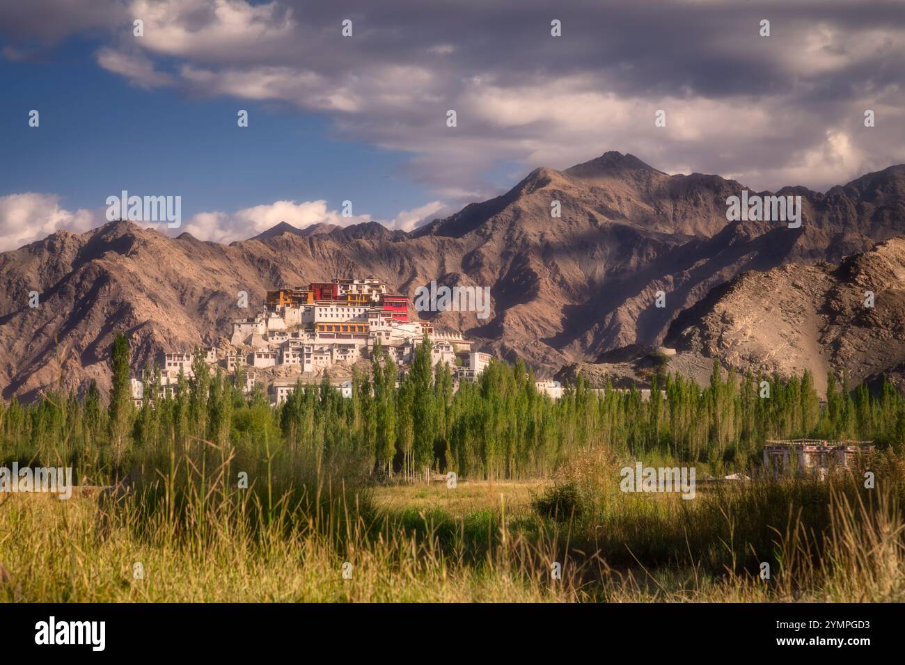 Monastère de Thiksey à Ladakh, Inde Banque D'Images