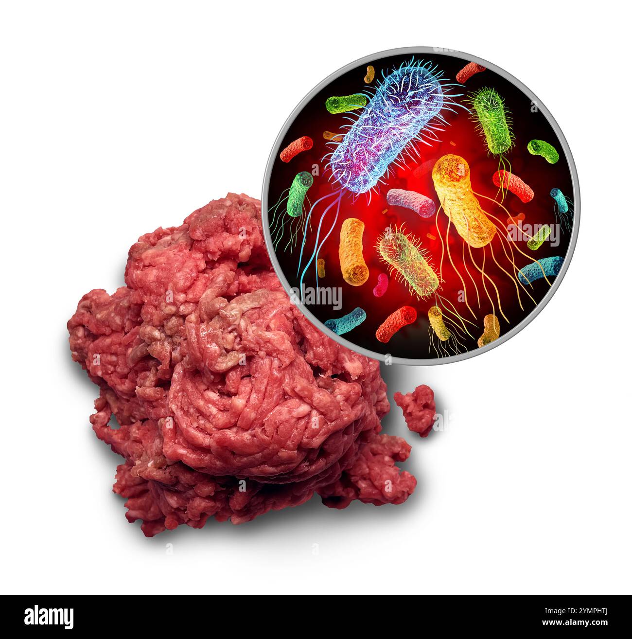 Contamination par E. coli Salmonella en tant qu'agent pathogène d'origine alimentaire et bactéries germes sur la viande hachée crue et risque pour la santé de l'ingestion d'aliments contaminés en tant que Banque D'Images Contamination par E. coli Salmonella en tant qu'agent pathogène d'origine alimentaire et bactéries germes sur la viande hachée crue et risque pour la santé de l'ingestion d'aliments contaminés en tant que Banque D'Images