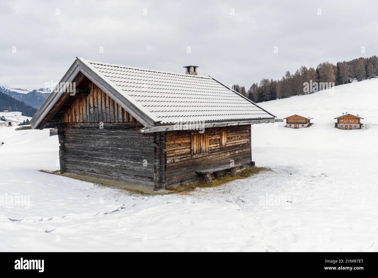 Cabane de montagne traditionnelle en bois dans une prairie enneigée dans les Alpes par un jour nuageux d'hiver Banque D'Images