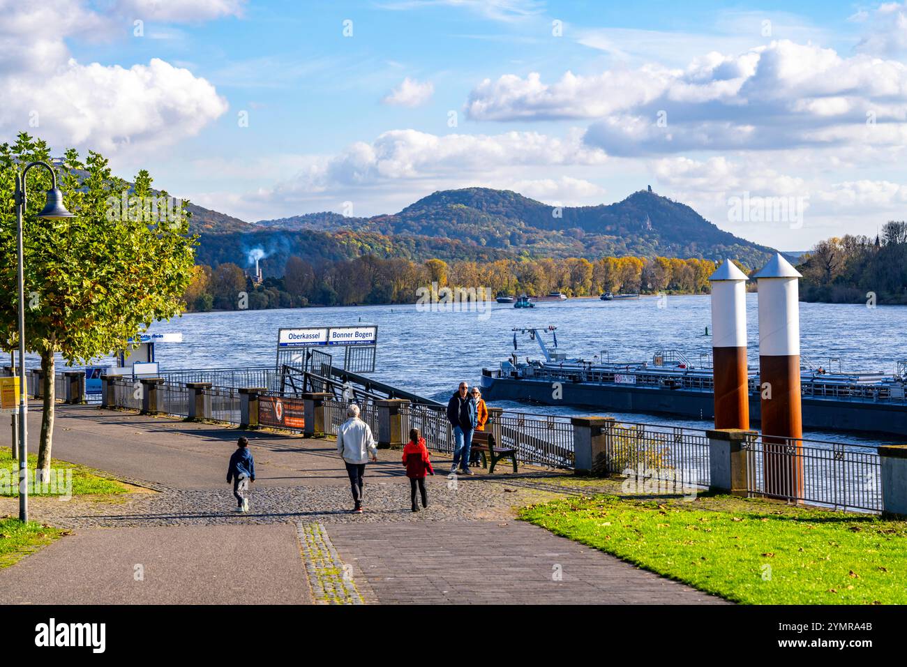 Cargo sur le Rhin près de Bonn, promenade du Rhin près de Bonn-Oberkassel, Siebengebirge en arrière-plan, NRW, Allemagne, Banque D'Images