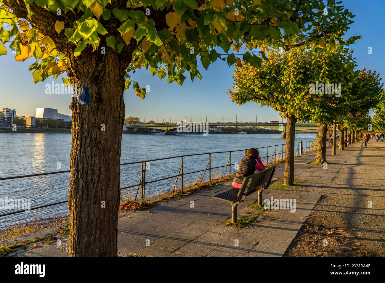 Le Rhin près de Bonn, la promenade de Bonn-Beuel avec le pont Kennedy en arrière-plan, NRW, Allemagne, Banque D'Images