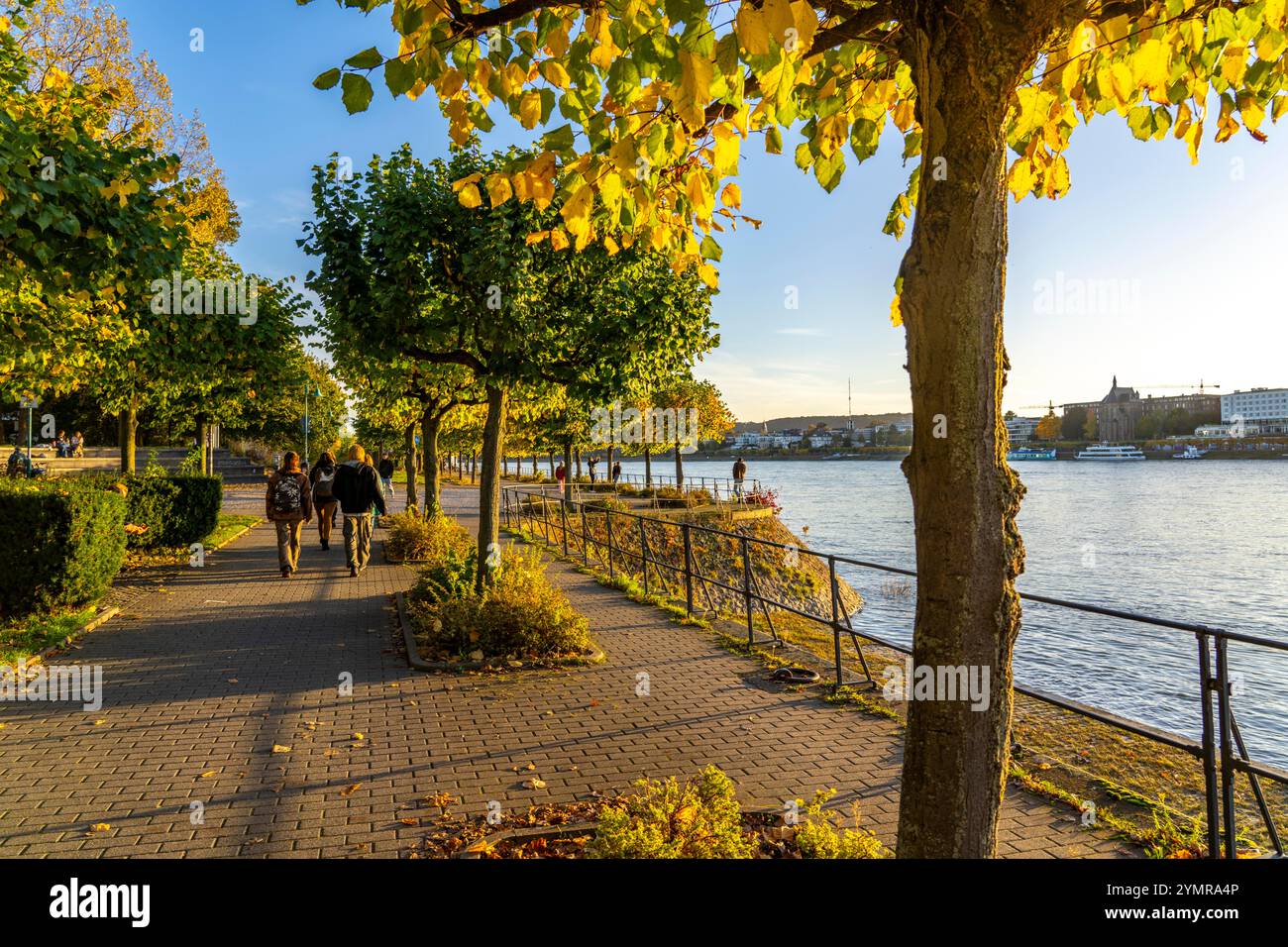 Le Rhin près de Bonn, la promenade riveraine de Bonn-Beuel, NRW, Allemagne, Banque D'Images