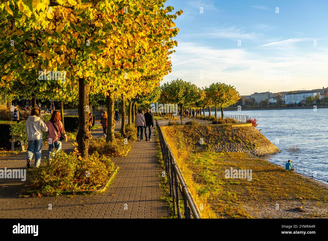 Le Rhin près de Bonn, la promenade riveraine de Bonn-Beuel, NRW, Allemagne, Banque D'Images