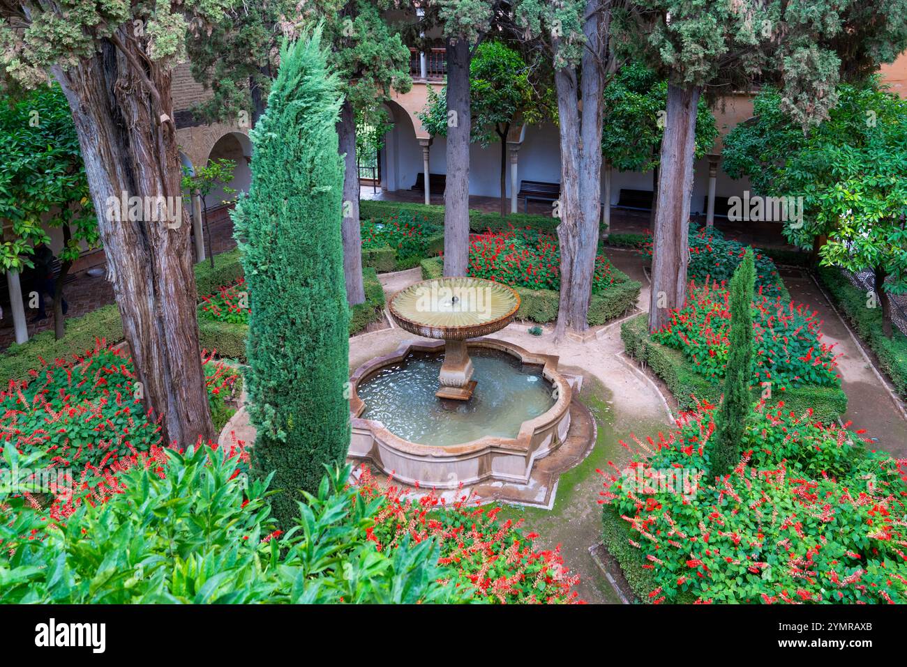 Le jardin de Daraxa (Jardines de Daraxa) a également été appelé jardin des orangers, palais de l'Alhambra, Grenade, Andalousie, Espagne Banque D'Images