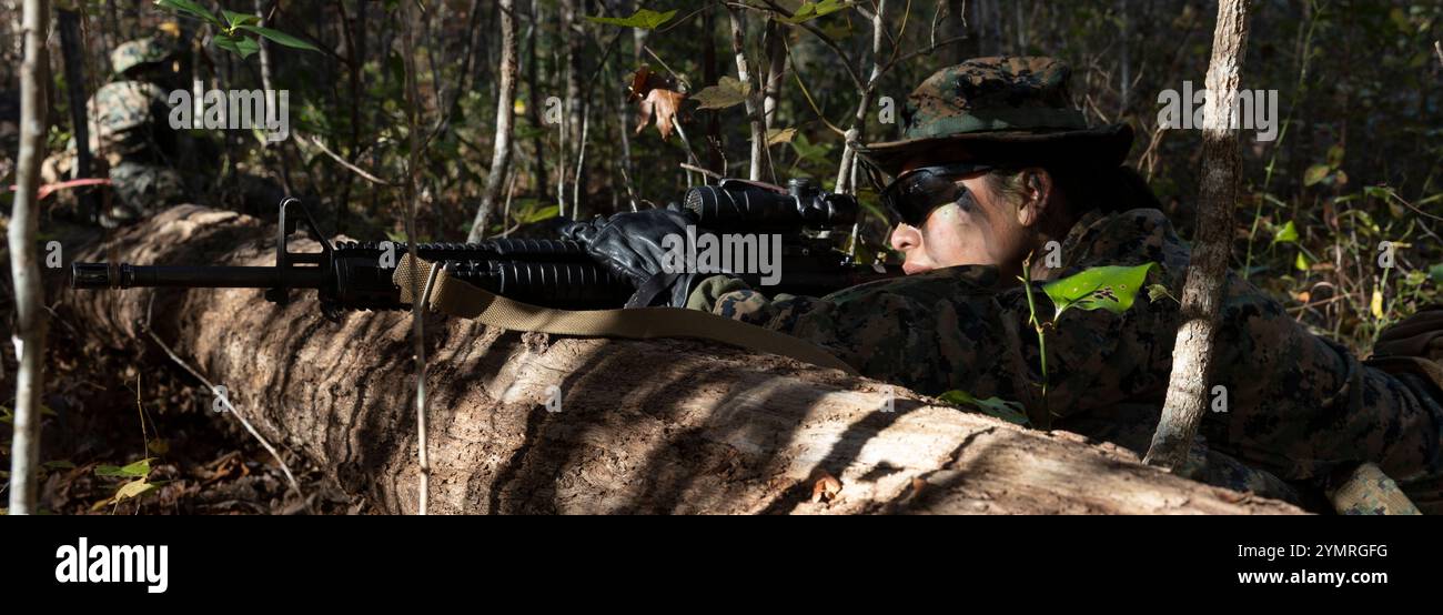 Le Cpl Diana Leal du corps des Marines des États-Unis, originaire de Californie et contrôleur de défense aérienne tactique du Marine Air Control Squadron (MACS) 2, assure la sécurité lors de la formation de petite unité Distributed Air support Control (DASC) à la Marine corps Air Station Cherry point, Caroline du Nord, le 21 novembre 2024. Cet événement de formation a permis aux Marines 2nd Marine Aircraft Wing (MAW) de s’exercer à établir des centres de contrôle de soutien aérien dans des environnements contestés et distribués, de s’exercer à réduire les signatures numériques et physiques et de pratiquer le leadership de petites unités dans un environnement de terrain. (U.S. Marine Banque D'Images