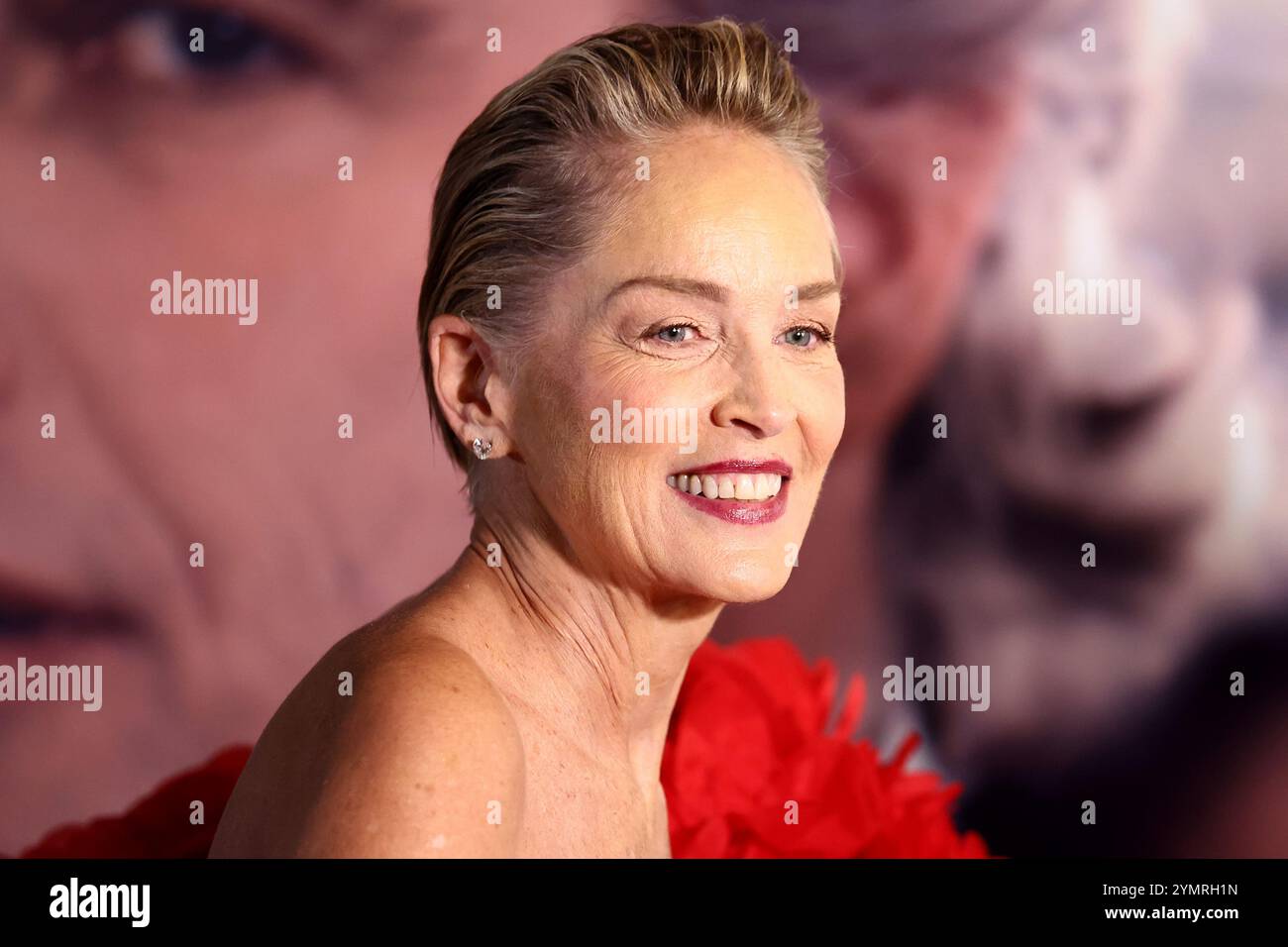 Turin, Italie. 22 novembre 2024. L'actrice Sharon Stone assiste au 42e Festival du film de Turin 2024 Opening Red Carpet le 22 novembre 2024 à Turin, en Italie. Crédit : Marco Canoniero/Alamy Live News Banque D'Images