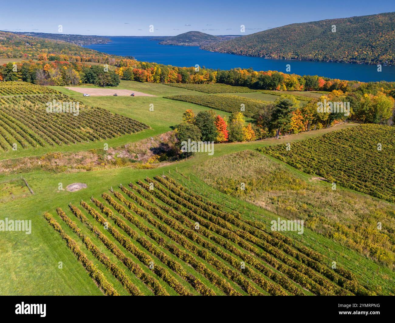 Vue aérienne des vignobles surplombant le lac Canandaigua. South Bristol, New York. Région viticole de Finger Lakes New York. Banque D'Images