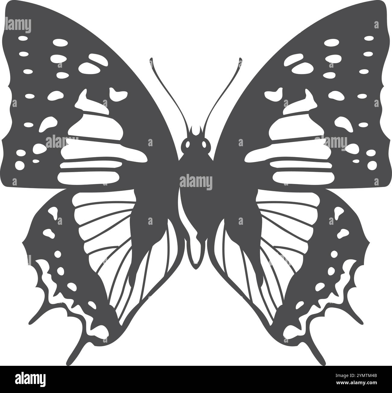 Papillon aux ailes ornées. Dessin d'insectes à motifs noirs Illustration de Vecteur