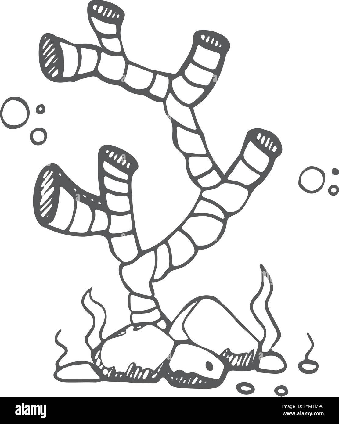 Faune de récif corallien doodle. Vie océanique profonde Illustration de Vecteur Faune de récif corallien doodle. Vie océanique profonde Illustration de Vecteur