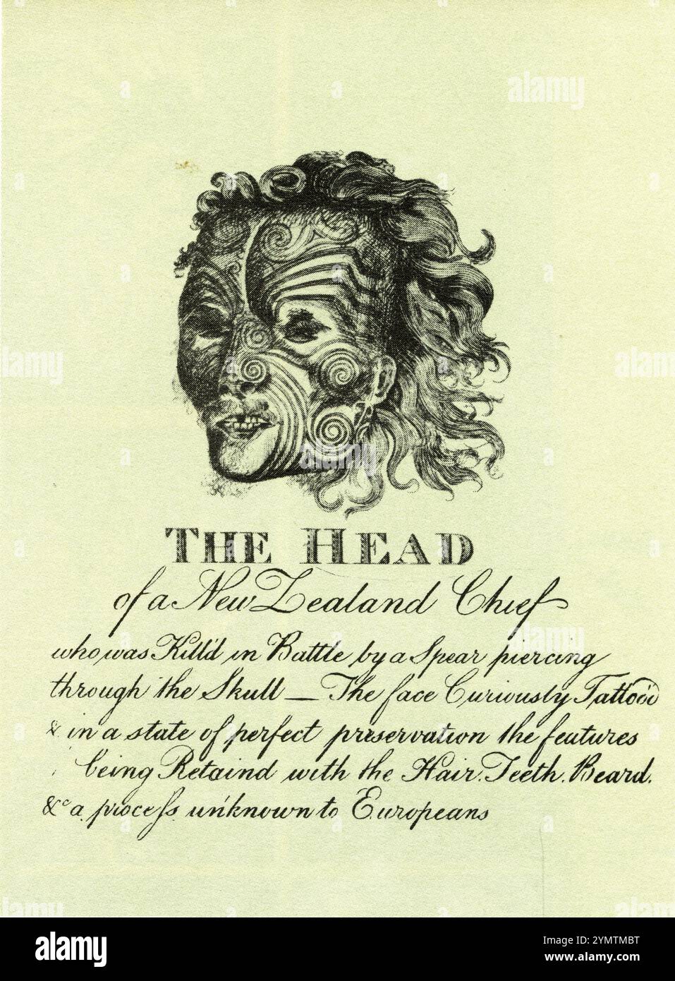 Une illustration du 19ème siècle sous-titrait « la tête d'un chef néo-zélandais qui a été tué au combat par une lance perçant à travers le crâne - le visage curieusement tatoué et dans un état de conservation parfaite les traits étant conservés avec les cheveux. Dents. Barbe. & Un processus inconnu des Européens. Banque D'Images