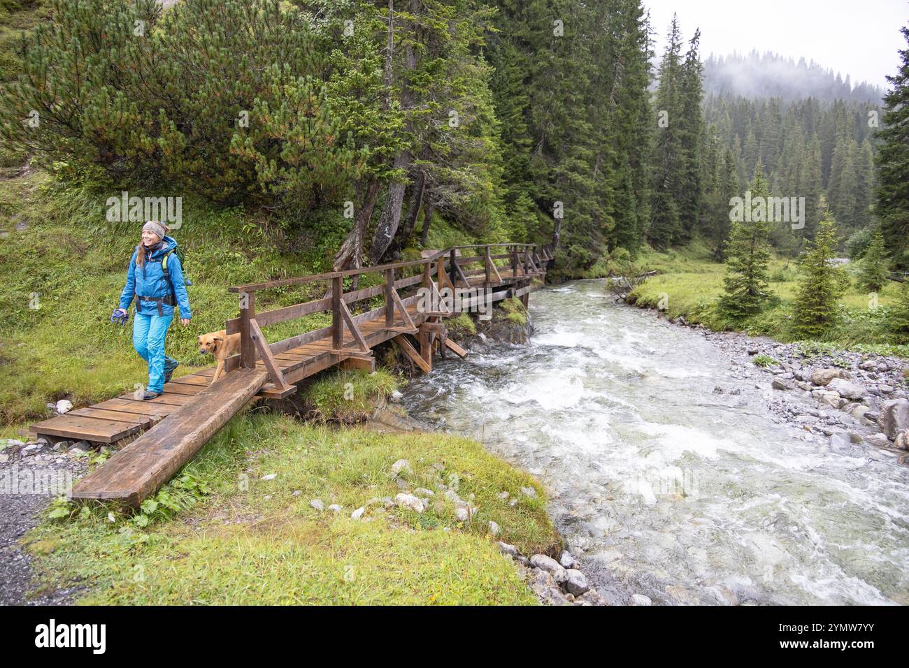 Wandern mit Hund im Tiroler Lechtal Banque D'Images