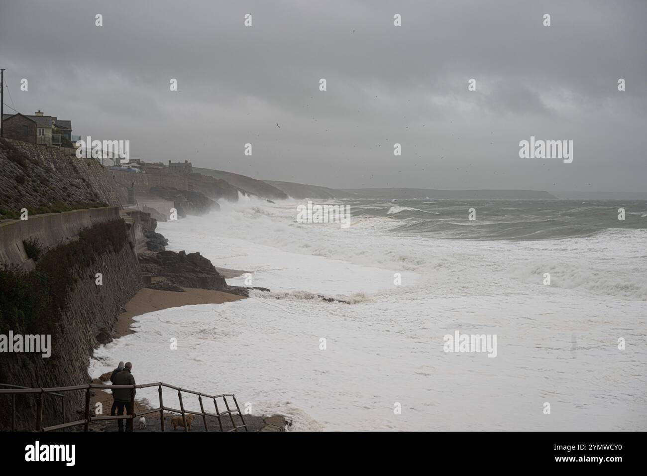 La tempête Bert frappe Porthleven, les chiens se évadent chanceux et les habitants vont nager crédit : kathleen White/Alamy Live News Banque D'Images