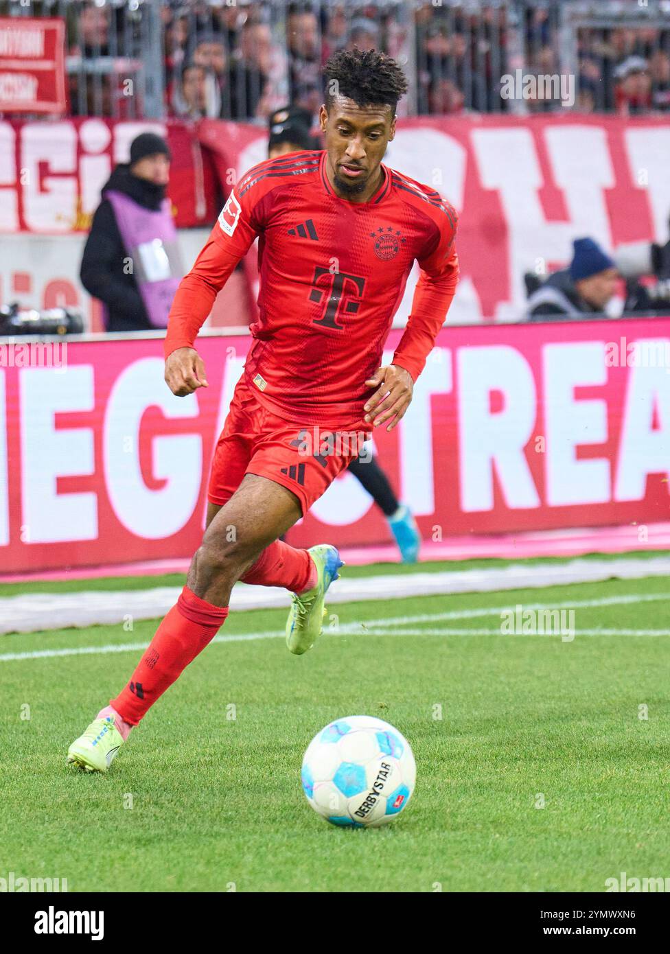 Kingsley Coman, FCB 11 dans le match FC BAYERN MUENCHEN - FC AUGSBURG 3-0 le 22 novembre 2024 à Munich, Allemagne. Saison 2024/2025, 1.Bundesliga, FCB, Muenchen, journée 11, 11.Spieltag photographe : ddp images/STAR-images - LA RÉGLEMENTATION DFL INTERDIT TOUTE UTILISATION DE PHOTOGRAPHIES comme SÉQUENCES D'IMAGES et/ou QUASI-VIDÉO - crédit : ddp Media GmbH/Alamy Live News Banque D'Images