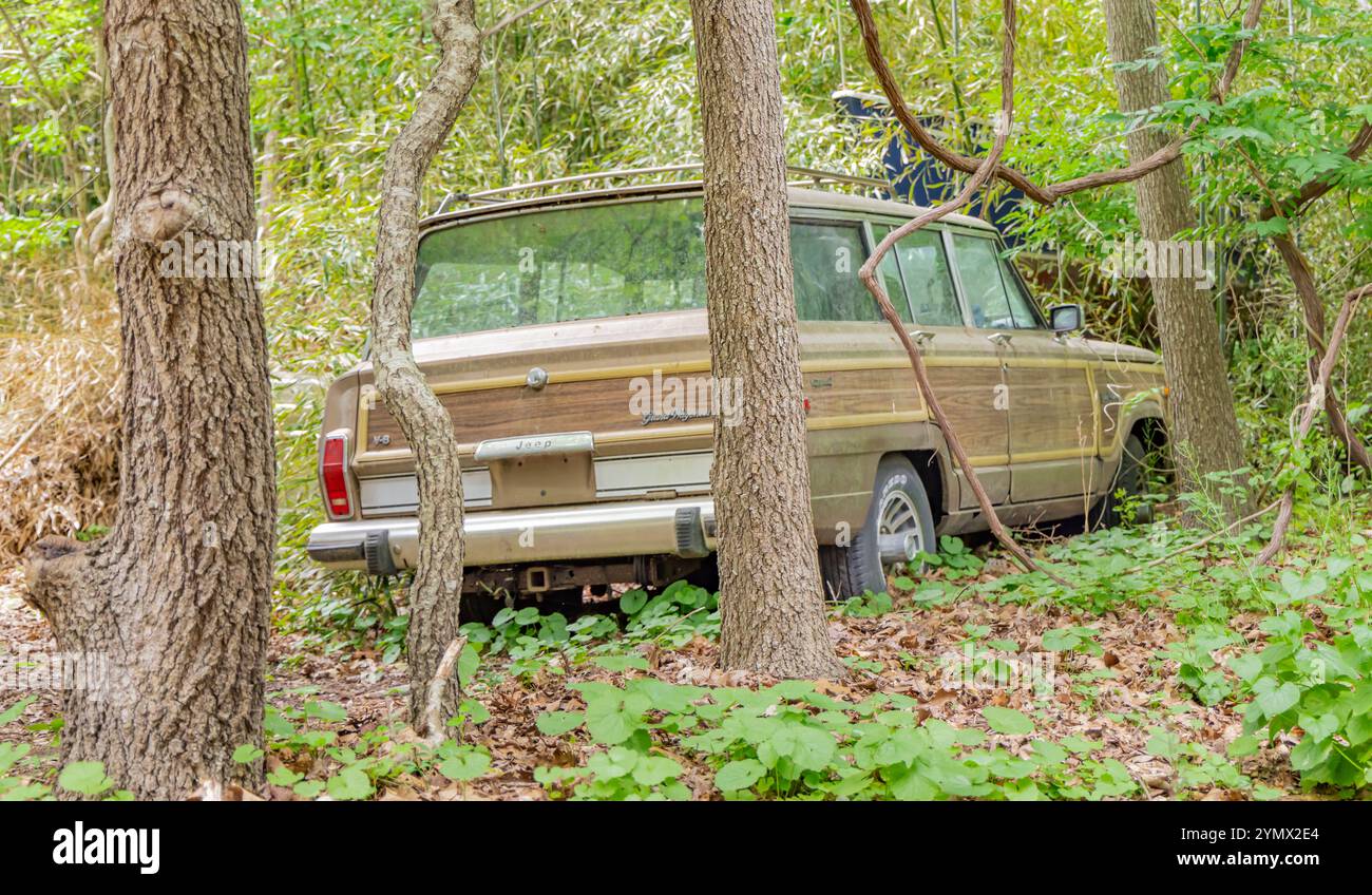 Vieille grande jeep Cherokee abandonnée dans les bois Banque D'Images