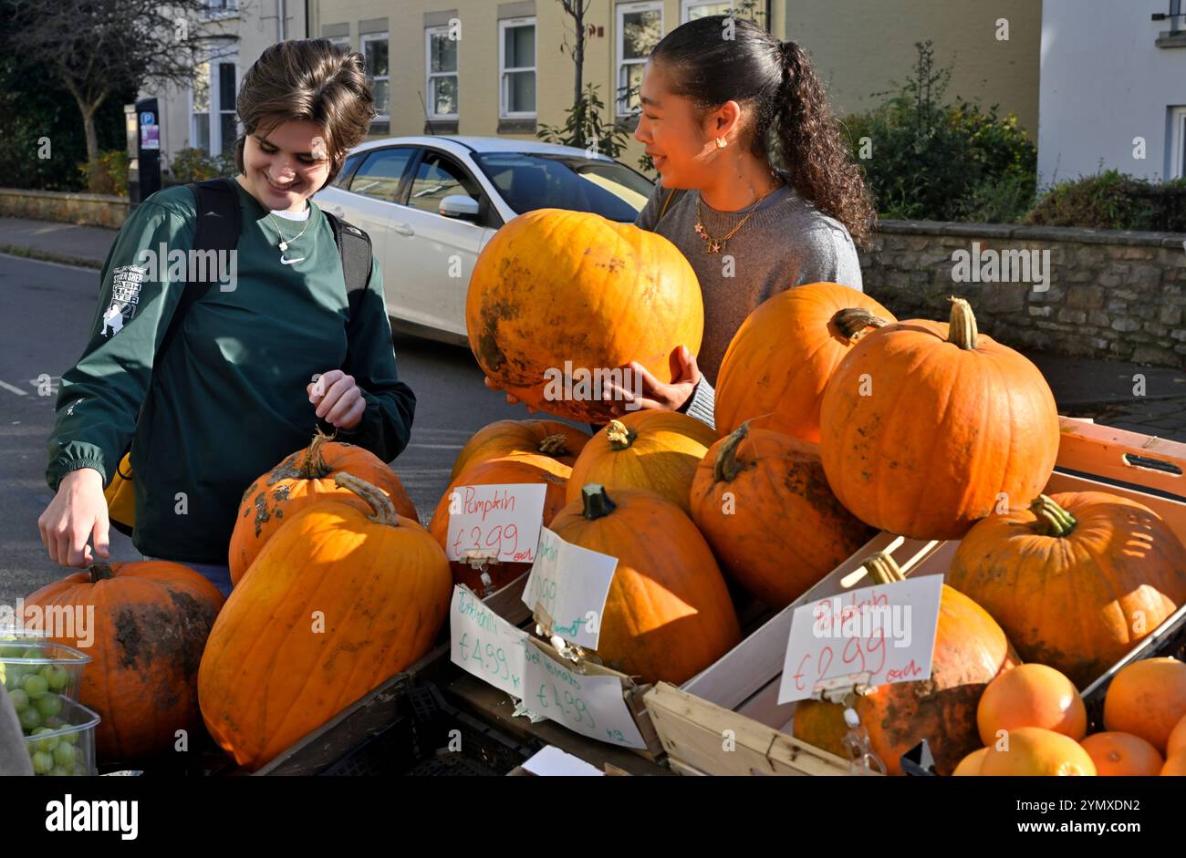 Deux jeunes femmes regardant de grandes citrouilles sur le marché étal pour Halloween Banque D'Images