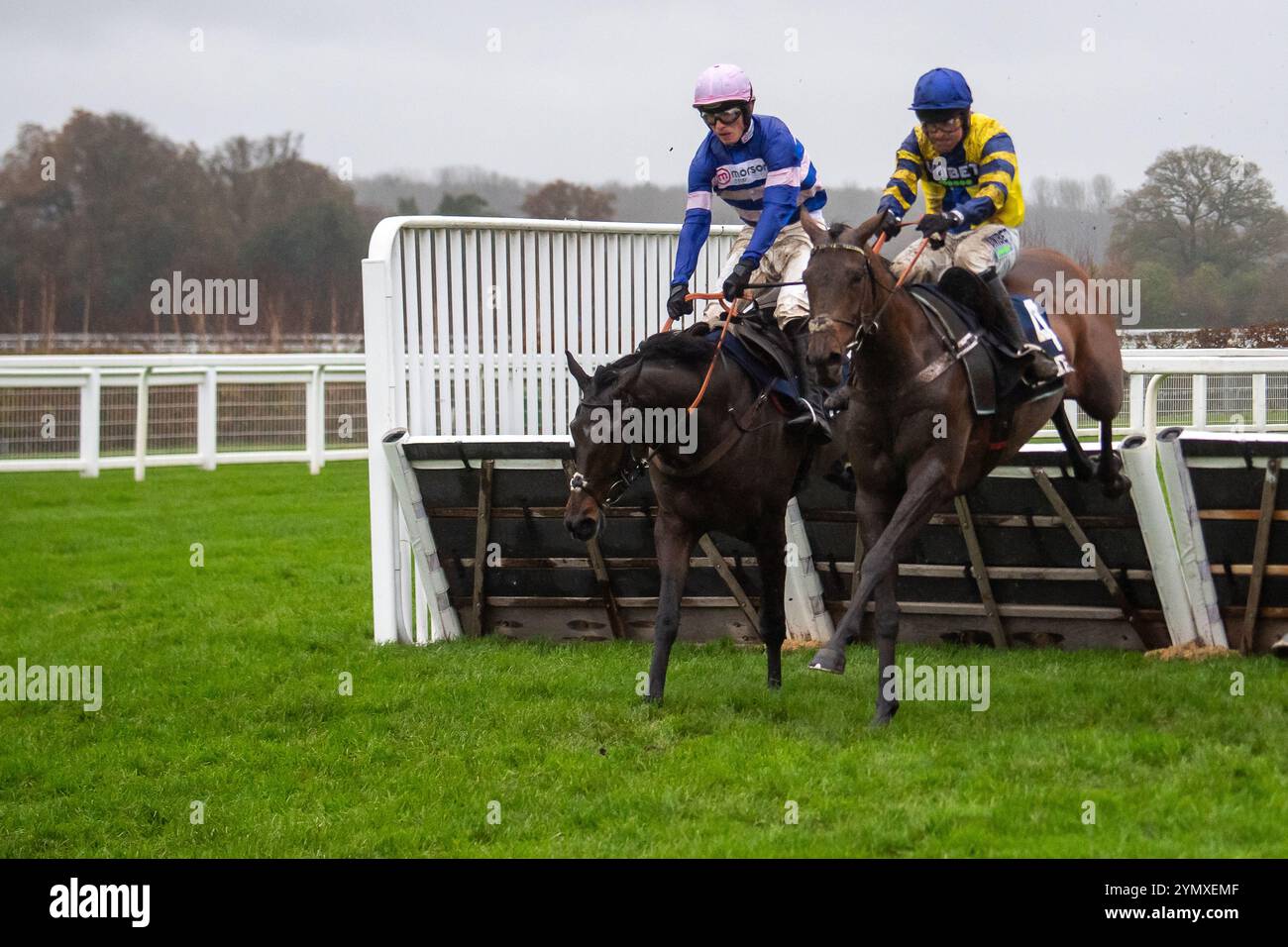 Ascot, Berkshire, Royaume-Uni. 23 novembre 2024. LUCKY PLACE monté par le jockey Nico de Boinville (soie jaune) efface le dernier avant de remporter la Howden Ascot Hurdle Race (classe 1) (Grade 2) (inscrit comme Ascot Hurdle Race) (GBB Race) à Ascot Racecourse dans le Berkshire au Copybet November Saturday Raceday. Propriétaire Mme G Van Geest & M. George, entraîneur Nicky Henderson, Lambourn, éleveur M. E Aubree & Mme J Goffin Van Aken, commanditaire Unitbet. Crédit : Maureen McLean/Alamy Live News Banque D'Images