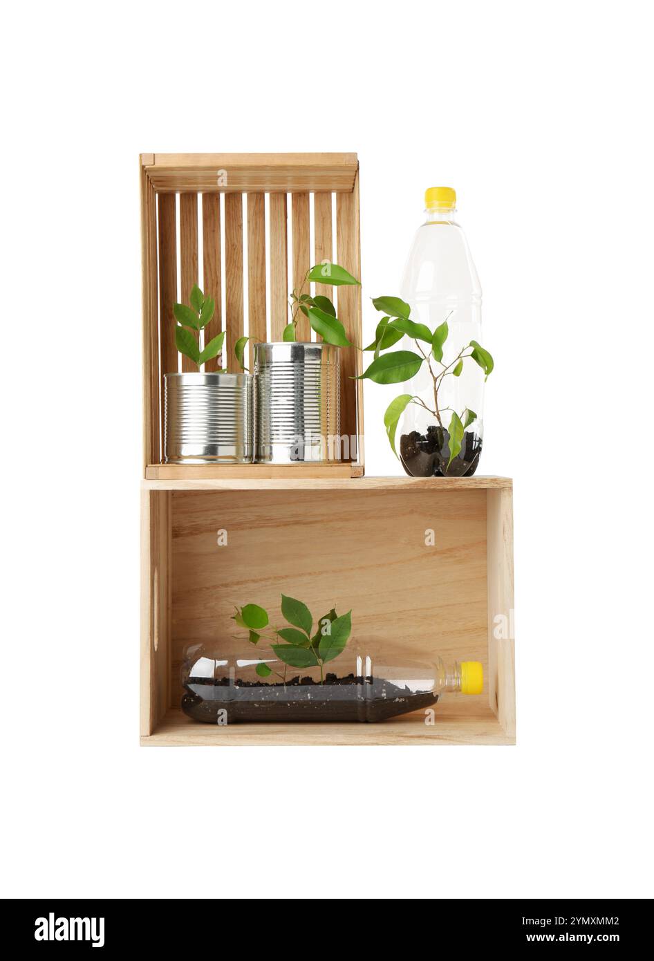 Concept de recyclage. Caisses en bois avec des plantes en bouteilles et canettes isolées sur blanc Banque D'Images