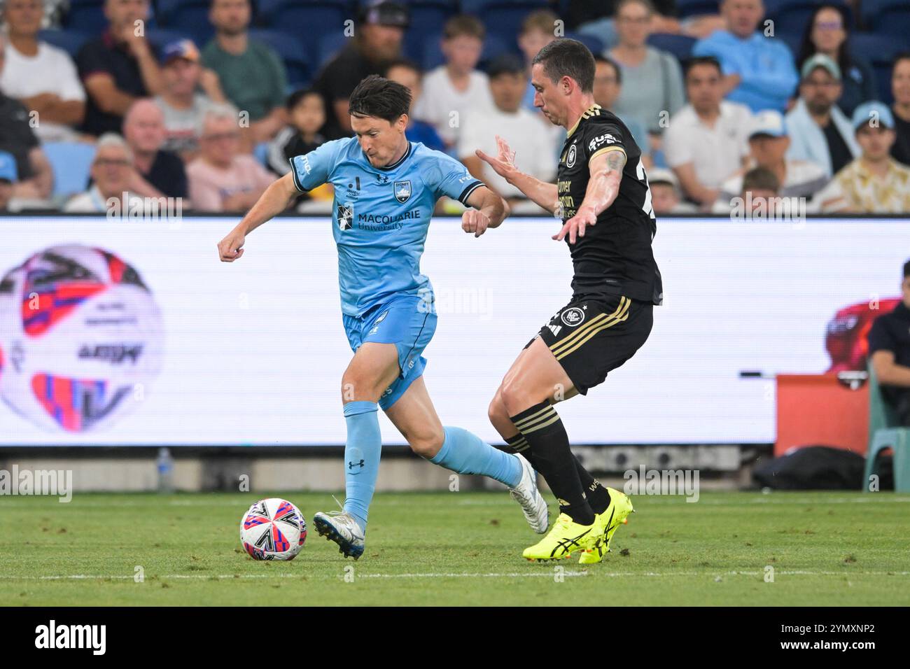 Paddington, Australie. 23 novembre 2024. Joseph Lolley (à gauche) du Sydney FC et Bozhidar Boykov Kraev (à droite) des Western Sydney Wanderers vus en action lors du match de la cinquième ronde de la saison 2024-25 d'Isuzu UTE entre le Sydney FC et le Western Sydney Wanderers FC tenu au stade Allianz. Score final Sydney FC 4:2 Western Sydney Wanderers. (Photo Luis Veniegra/SOPA images/SIPA USA) crédit : SIPA USA/Alamy Live News Banque D'Images