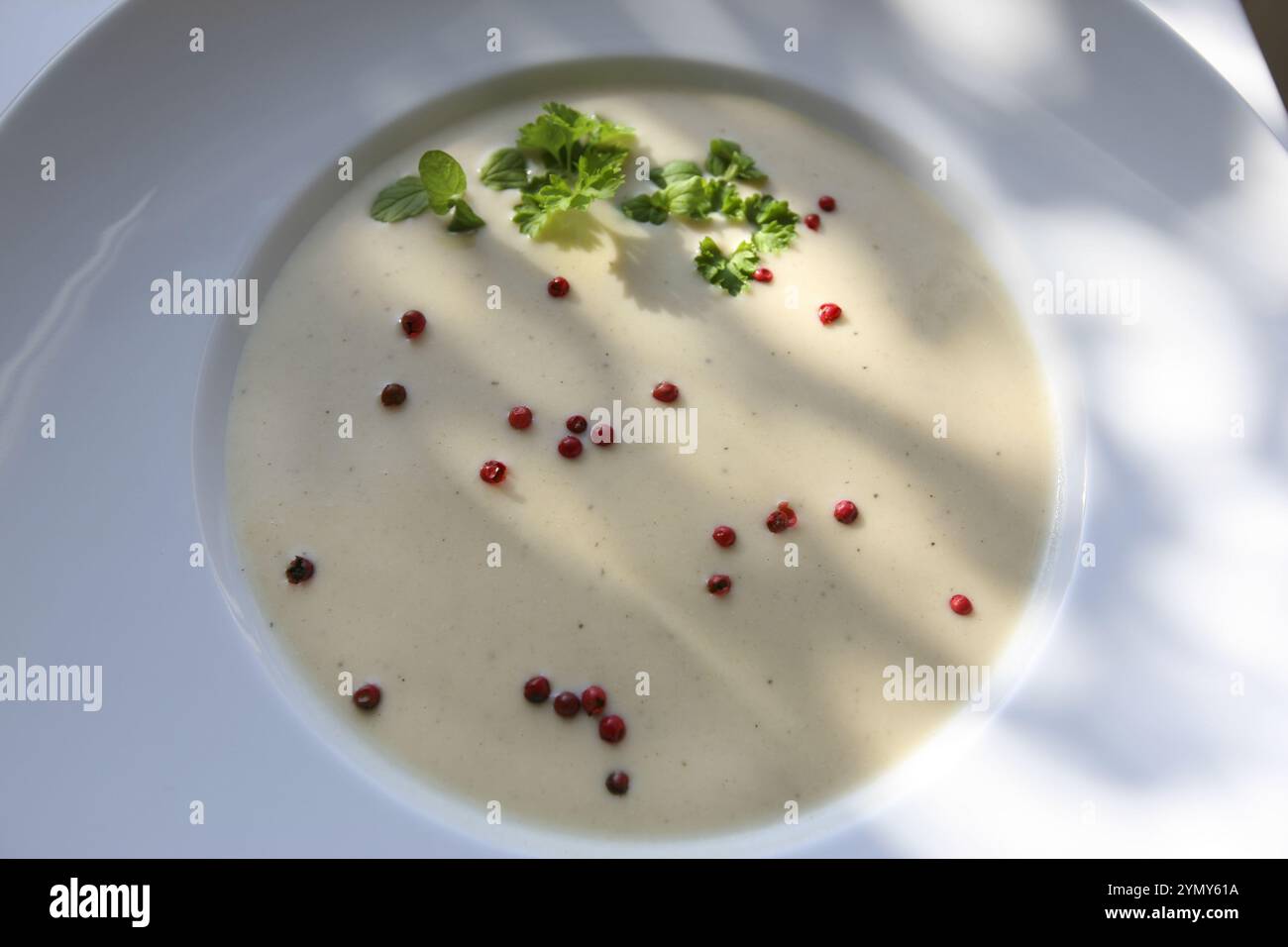 Cuisine souabe, soupe d'épeautre vert, saine, végétarienne, régionale, soupe servie dans une assiette à soupe, grains de poivron rouge, herbes, persil, Peterling, cuisine maison Banque D'Images