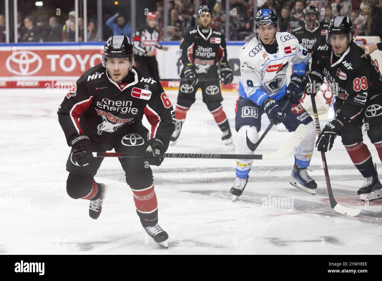 LanxessArena, Rhénanie du Nord-Westphalie, Parker Tuomie (Cologne Sharks, #62), PENNY DEL, Cologne Sharks-ERC Ingolstadt le 22/11/2024 à la LanxessArena Banque D'Images